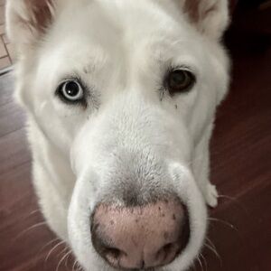 My closet is on a diet — help me feed it some empty hangers!